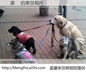 #孟婆来世照相馆# 【張家齊 来世的未来相片】一碗梦婆汤，忘却了今生爱与痛，了无牵挂进入轮回。再相遇，已是天涯陌路人。可否借我一双慧眼，看清今生与来世？孟婆来世照相馆，触摸你的未来。張家齊 来世的未来相片，有图有真相：