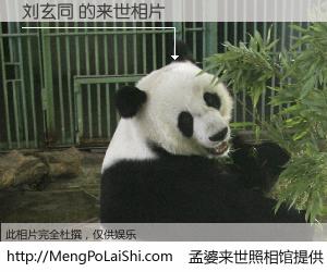 #孟婆来世照相馆# 【刘玄同 来世的未来相片】一碗梦婆汤，忘却了今生爱与痛，了无牵挂进入轮回。再相遇，已是天涯陌路人。可否借我一双慧眼，看清今生与来世？孟婆来世照相馆，触摸你的未来。刘玄同 来世的未来相片，有图有真相：