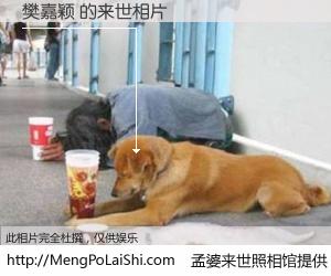 #孟婆来世照相馆# 【樊嘉颖 来世的未来相片】一碗梦婆汤，忘却了今生爱与痛，了无牵挂进入轮回。再相遇，已是天涯陌路人。可否借我一双慧眼，看清今生与来世？孟婆来世照相馆，触摸你的未来。樊嘉颖 来世的未来相片，有图有真相：