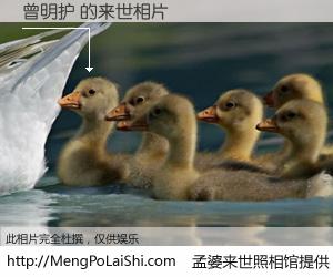 #孟婆来世照相馆# 【曾明护 来世的未来相片】一碗梦婆汤，忘却了今生爱与痛，了无牵挂进入轮回。再相遇，已是天涯陌路人。可否借我一双慧眼，看清今生与来世？孟婆来世照相馆，触摸你的未来。曾明护 来世的未来相片，有图有真相：