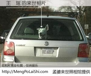 #孟婆来世照相馆# 【王鐘瑶 来世的未来相片】一碗梦婆汤，忘却了今生爱与痛，了无牵挂进入轮回。再相遇，已是天涯陌路人。可否借我一双慧眼，看清今生与来世？孟婆来世照相馆，触摸你的未来。王鐘瑶 来世的未来相片，有图有真相：