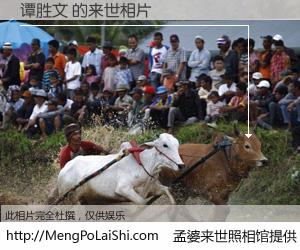 #孟婆来世照相馆# 【谭胜文 来世的未来相片】一碗梦婆汤，忘却了今生爱与痛，了无牵挂进入轮回。再相遇，已是天涯陌路人。可否借我一双慧眼，看清今生与来世？孟婆来世照相馆，触摸你的未来。谭胜文 来世的未来相片，有图有真相：