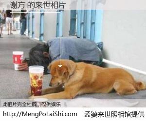 #孟婆来世照相馆# 【谢方 来世的未来相片】一碗梦婆汤，忘却了今生爱与痛，了无牵挂进入轮回。再相遇，已是天涯陌路人。可否借我一双慧眼，看清今生与来世？孟婆来世照相馆，触摸你的未来。谢方 来世的未来相片，有图有真相：