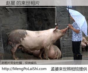 #孟婆来世照相馆# 【赵星 来世的未来相片】一碗梦婆汤，忘却了今生爱与痛，了无牵挂进入轮回。再相遇，已是天涯陌路人。可否借我一双慧眼，看清今生与来世？孟婆来世照相馆，触摸你的未来。赵星 来世的未来相片，有图有真相：