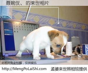 #孟婆来世照相馆# 【聂婉仪、 来世的未来相片】一碗梦婆汤，忘却了今生爱与痛，了无牵挂进入轮回。再相遇，已是天涯陌路人。可否借我一双慧眼，看清今生与来世？孟婆来世照相馆，触摸你的未来。聂婉仪、 来世的未来相片，有图有真相：