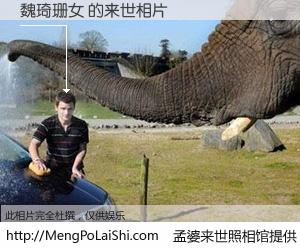 #孟婆来世照相馆# 【魏琦珊女 来世的未来相片】一碗梦婆汤，忘却了今生爱与痛，了无牵挂进入轮回。再相遇，已是天涯陌路人。可否借我一双慧眼，看清今生与来世？孟婆来世照相馆，触摸你的未来。魏琦珊女 来世的未来相片，有图有真相：