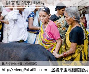 #孟婆来世照相馆# 【顾文勤 来世的未来相片】一碗梦婆汤，忘却了今生爱与痛，了无牵挂进入轮回。再相遇，已是天涯陌路人。可否借我一双慧眼，看清今生与来世？孟婆来世照相馆，触摸你的未来。顾文勤 来世的未来相片，有图有真相：