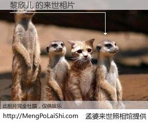 #孟婆来世照相馆# 【黎欣儿 来世的未来相片】一碗梦婆汤，忘却了今生爱与痛，了无牵挂进入轮回。再相遇，已是天涯陌路人。可否借我一双慧眼，看清今生与来世？孟婆来世照相馆，触摸你的未来。黎欣儿 来世的未来相片，有图有真相：