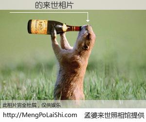 #孟婆来世照相馆# 【黃嵐霙 来世的未来相片】一碗梦婆汤，忘却了今生爱与痛，了无牵挂进入轮回。再相遇，已是天涯陌路人。可否借我一双慧眼，看清今生与来世？孟婆来世照相馆，触摸你的未来。黃嵐霙 来世的未来相片，有图有真相：