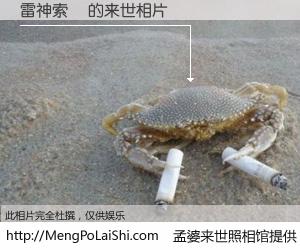 #孟婆来世照相馆# 【雷神索爾 来世的未来相片】一碗梦婆汤，忘却了今生爱与痛，了无牵挂进入轮回。再相遇，已是天涯陌路人。可否借我一双慧眼，看清今生与来世？孟婆来世照相馆，触摸你的未来。雷神索爾 来世的未来相片，有图有真相：