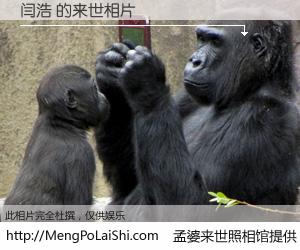 #孟婆来世照相馆# 【闫浩 来世的未来相片】一碗梦婆汤，忘却了今生爱与痛，了无牵挂进入轮回。再相遇，已是天涯陌路人。可否借我一双慧眼，看清今生与来世？孟婆来世照相馆，触摸你的未来。闫浩 来世的未来相片，有图有真相：