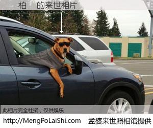 #孟婆来世照相馆# 【陳柏蒼 来世的未来相片】一碗梦婆汤，忘却了今生爱与痛，了无牵挂进入轮回。再相遇，已是天涯陌路人。可否借我一双慧眼，看清今生与来世？孟婆来世照相馆，触摸你的未来。陳柏蒼 来世的未来相片，有图有真相：