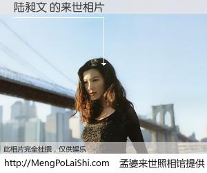 #孟婆来世照相馆# 【陆昶文 来世的未来相片】一碗梦婆汤，忘却了今生爱与痛，了无牵挂进入轮回。再相遇，已是天涯陌路人。可否借我一双慧眼，看清今生与来世？孟婆来世照相馆，触摸你的未来。陆昶文 来世的未来相片，有图有真相：