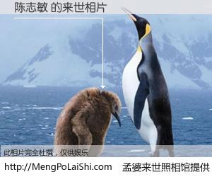 #孟婆来世照相馆# 【陈志敏 来世的未来相片】一碗梦婆汤，忘却了今生爱与痛，了无牵挂进入轮回。再相遇，已是天涯陌路人。可否借我一双慧眼，看清今生与来世？孟婆来世照相馆，触摸你的未来。陈志敏 来世的未来相片，有图有真相：