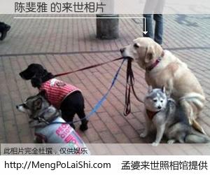 #孟婆来世照相馆# 【陈斐雅 来世的未来相片】一碗梦婆汤，忘却了今生爱与痛，了无牵挂进入轮回。再相遇，已是天涯陌路人。可否借我一双慧眼，看清今生与来世？孟婆来世照相馆，触摸你的未来。陈斐雅 来世的未来相片，有图有真相：