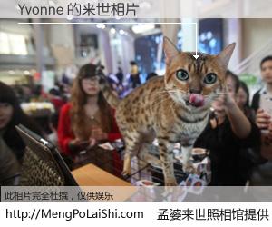 #孟婆来世照相馆# 【Yvonne 来世的未来相片】一碗梦婆汤，忘却了今生爱与痛，了无牵挂进入轮回。再相遇，已是天涯陌路人。可否借我一双慧眼，看清今生与来世？孟婆来世照相馆，触摸你的未来。Yvonne 来世的未来相片，有图有真相：