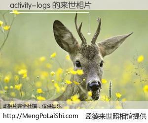 #孟婆来世照相馆# 【activity-logs 来世的未来相片】一碗梦婆汤，忘却了今生爱与痛，了无牵挂进入轮回。再相遇，已是天涯陌路人。可否借我一双慧眼，看清今生与来世？孟婆来世照相馆，触摸你的未来。activity-logs 来世的未来相片，有图有真相：