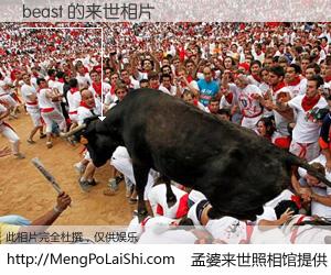 #孟婆来世照相馆# 【beast 来世的未来相片】一碗梦婆汤，忘却了今生爱与痛，了无牵挂进入轮回。再相遇，已是天涯陌路人。可否借我一双慧眼，看清今生与来世？孟婆来世照相馆，触摸你的未来。beast 来世的未来相片，有图有真相：