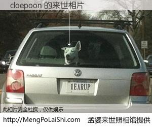 #孟婆来世照相馆# 【cloepoon 来世的未来相片】一碗梦婆汤，忘却了今生爱与痛，了无牵挂进入轮回。再相遇，已是天涯陌路人。可否借我一双慧眼，看清今生与来世？孟婆来世照相馆，触摸你的未来。cloepoon 来世的未来相片，有图有真相：