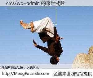 #孟婆来世照相馆# 【cms/wp-admin 来世的未来相片】一碗梦婆汤，忘却了今生爱与痛，了无牵挂进入轮回。再相遇，已是天涯陌路人。可否借我一双慧眼，看清今生与来世？孟婆来世照相馆，触摸你的未来。cms/wp-admin 来世的未来相片，有图有真相：