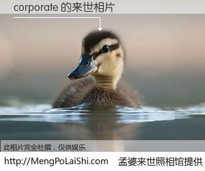#孟婆来世照相馆# 【corporate 来世的未来相片】一碗梦婆汤，忘却了今生爱与痛，了无牵挂进入轮回。再相遇，已是天涯陌路人。可否借我一双慧眼，看清今生与来世？孟婆来世照相馆，触摸你的未来。corporate 来世的未来相片，有图有真相：