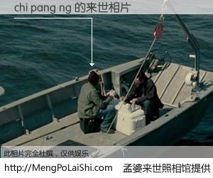 #孟婆来世照相馆# 【chi pang ng 来世的未来相片】一碗梦婆汤，忘却了今生爱与痛，了无牵挂进入轮回。再相遇，已是天涯陌路人。可否借我一双慧眼，看清今生与来世？孟婆来世照相馆，触摸你的未来。chi pang ng 来世的未来相片，有图有真相：