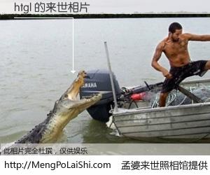 #孟婆来世照相馆# 【htgl 来世的未来相片】一碗梦婆汤，忘却了今生爱与痛，了无牵挂进入轮回。再相遇，已是天涯陌路人。可否借我一双慧眼，看清今生与来世？孟婆来世照相馆，触摸你的未来。htgl 来世的未来相片，有图有真相：