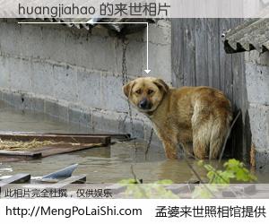 #孟婆来世照相馆# 【huangjiahao 来世的未来相片】一碗梦婆汤，忘却了今生爱与痛，了无牵挂进入轮回。再相遇，已是天涯陌路人。可否借我一双慧眼，看清今生与来世？孟婆来世照相馆，触摸你的未来。huangjiahao 来世的未来相片，有图有真相：