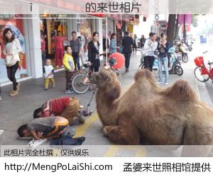 #孟婆来世照相馆# 【����� 来世的未来相片】一碗梦婆汤，忘却了今生爱与痛，了无牵挂进入轮回。再相遇，已是天涯陌路人。可否借我一双慧眼，看清今生与来世？孟婆来世照相馆，触摸你的未来。����� 来世的未来相片，有图有真相：