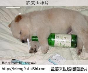 #孟婆来世照相馆# 【Ҷ��Ƽ 来世的未来相片】一碗梦婆汤，忘却了今生爱与痛，了无牵挂进入轮回。再相遇，已是天涯陌路人。可否借我一双慧眼，看清今生与来世？孟婆来世照相馆，触摸你的未来。Ҷ��Ƽ 来世的未来相片，有图有真相：