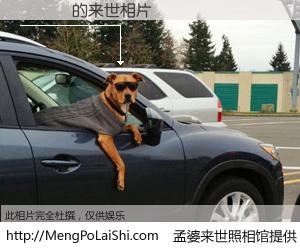 #孟婆来世照相馆# 【陳漢標 来世的未来相片】一碗梦婆汤，忘却了今生爱与痛，了无牵挂进入轮回。再相遇，已是天涯陌路人。可否借我一双慧眼，看清今生与来世？孟婆来世照相馆，触摸你的未来。陳漢標 来世的未来相片，有图有真相：