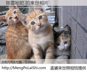 #孟婆来世照相馆# 【陈雷裕乾 来世的未来相片】一碗梦婆汤，忘却了今生爱与痛，了无牵挂进入轮回。再相遇，已是天涯陌路人。可否借我一双慧眼，看清今生与来世？孟婆来世照相馆，触摸你的未来。陈雷裕乾 来世的未来相片，有图有真相：