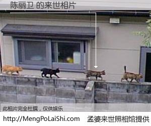 #孟婆来世照相馆# 【陈丽卫 来世的未来相片】一碗梦婆汤，忘却了今生爱与痛，了无牵挂进入轮回。再相遇，已是天涯陌路人。可否借我一双慧眼，看清今生与来世？孟婆来世照相馆，触摸你的未来。陈丽卫 来世的未来相片，有图有真相：