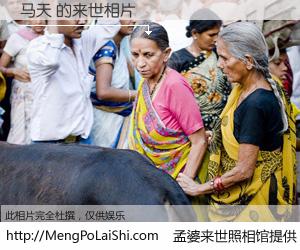 #孟婆来世照相馆# 【马天 来世的未来相片】一碗梦婆汤，忘却了今生爱与痛，了无牵挂进入轮回。再相遇，已是天涯陌路人。可否借我一双慧眼，看清今生与来世？孟婆来世照相馆，触摸你的未来。马天 来世的未来相片，有图有真相：
