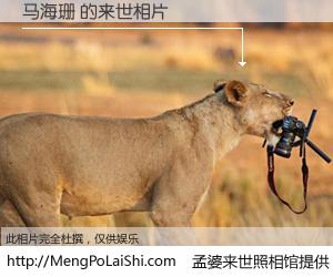 #孟婆来世照相馆# 【马海珊 来世的未来相片】一碗梦婆汤，忘却了今生爱与痛，了无牵挂进入轮回。再相遇，已是天涯陌路人。可否借我一双慧眼，看清今生与来世？孟婆来世照相馆，触摸你的未来。马海珊 来世的未来相片，有图有真相：
