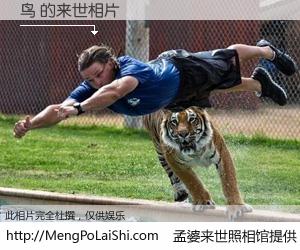 #孟婆来世照相馆# 【鸟 来世的未来相片】一碗梦婆汤，忘却了今生爱与痛，了无牵挂进入轮回。再相遇，已是天涯陌路人。可否借我一双慧眼，看清今生与来世？孟婆来世照相馆，触摸你的未来。鸟 来世的未来相片，有图有真相：