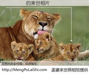 #孟婆来世照相馆# 【�ﾲ�� 来世的未来相片】一碗梦婆汤，忘却了今生爱与痛，了无牵挂进入轮回。再相遇，已是天涯陌路人。可否借我一双慧眼，看清今生与来世？孟婆来世照相馆，触摸你的未来。�ﾲ�� 来世的未来相片，有图有真相：