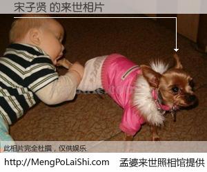 #孟婆来世照相馆# 【宋子贤 来世的未来相片】一碗梦婆汤，忘却了今生爱与痛，了无牵挂进入轮回。再相遇，已是天涯陌路人。可否借我一双慧眼，看清今生与来世？孟婆来世照相馆，触摸你的未来。宋子贤 来世的未来相片，有图有真相：