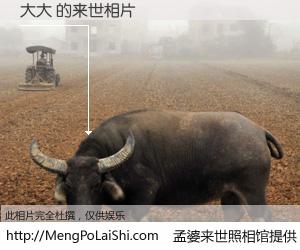 #孟婆来世照相馆# 【大大 来世的未来相片】一碗梦婆汤，忘却了今生爱与痛，了无牵挂进入轮回。再相遇，已是天涯陌路人。可否借我一双慧眼，看清今生与来世？孟婆来世照相馆，触摸你的未来。大大 来世的未来相片，有图有真相：