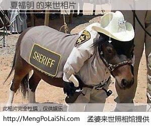 #孟婆来世照相馆# 【夏福明 来世的未来相片】一碗梦婆汤，忘却了今生爱与痛，了无牵挂进入轮回。再相遇，已是天涯陌路人。可否借我一双慧眼，看清今生与来世？孟婆来世照相馆，触摸你的未来。夏福明 来世的未来相片，有图有真相：