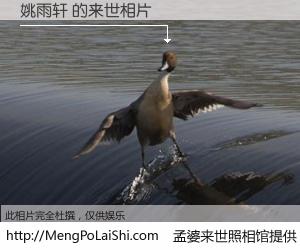 #孟婆来世照相馆# 【姚雨轩 来世的未来相片】一碗梦婆汤，忘却了今生爱与痛，了无牵挂进入轮回。再相遇，已是天涯陌路人。可否借我一双慧眼，看清今生与来世？孟婆来世照相馆，触摸你的未来。姚雨轩 来世的未来相片，有图有真相：