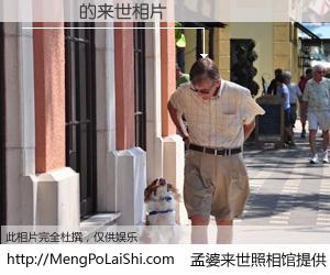 #孟婆来世照相馆# 【張晉誠 来世的未来相片】一碗梦婆汤，忘却了今生爱与痛，了无牵挂进入轮回。再相遇，已是天涯陌路人。可否借我一双慧眼，看清今生与来世？孟婆来世照相馆，触摸你的未来。張晉誠 来世的未来相片，有图有真相：