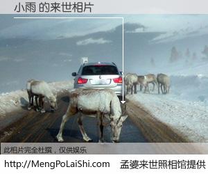 #孟婆来世照相馆# 【小雨 来世的未来相片】一碗梦婆汤，忘却了今生爱与痛，了无牵挂进入轮回。再相遇，已是天涯陌路人。可否借我一双慧眼，看清今生与来世？孟婆来世照相馆，触摸你的未来。小雨 来世的未来相片，有图有真相：