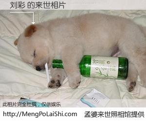 #孟婆来世照相馆# 【刘彩 来世的未来相片】一碗梦婆汤，忘却了今生爱与痛，了无牵挂进入轮回。再相遇，已是天涯陌路人。可否借我一双慧眼，看清今生与来世？孟婆来世照相馆，触摸你的未来。刘彩 来世的未来相片，有图有真相：