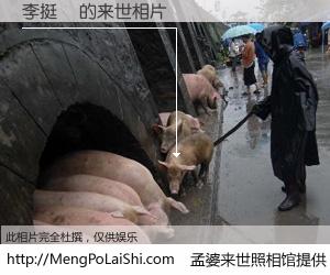 #孟婆来世照相馆# 【李挺瑋 来世的未来相片】一碗梦婆汤，忘却了今生爱与痛，了无牵挂进入轮回。再相遇，已是天涯陌路人。可否借我一双慧眼，看清今生与来世？孟婆来世照相馆，触摸你的未来。李挺瑋 来世的未来相片，有图有真相：