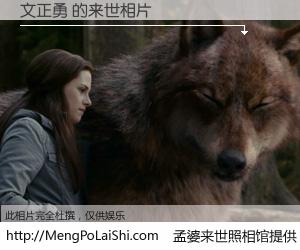 #孟婆来世照相馆# 【文正勇 来世的未来相片】一碗梦婆汤，忘却了今生爱与痛，了无牵挂进入轮回。再相遇，已是天涯陌路人。可否借我一双慧眼，看清今生与来世？孟婆来世照相馆，触摸你的未来。文正勇 来世的未来相片，有图有真相：