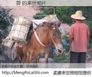 #孟婆来世照相馆# 【歐書羿 来世的未来相片】一碗梦婆汤，忘却了今生爱与痛，了无牵挂进入轮回。再相遇，已是天涯陌路人。可否借我一双慧眼，看清今生与来世？孟婆来世照相馆，触摸你的未来。歐書羿 来世的未来相片，有图有真相：