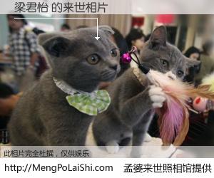 #孟婆来世照相馆# 【梁君怡 来世的未来相片】一碗梦婆汤，忘却了今生爱与痛，了无牵挂进入轮回。再相遇，已是天涯陌路人。可否借我一双慧眼，看清今生与来世？孟婆来世照相馆，触摸你的未来。梁君怡 来世的未来相片，有图有真相：
