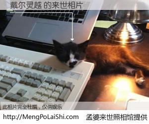 #孟婆来世照相馆# 【戴尔灵越 来世的未来相片】一碗梦婆汤，忘却了今生爱与痛，了无牵挂进入轮回。再相遇，已是天涯陌路人。可否借我一双慧眼，看清今生与来世？孟婆来世照相馆，触摸你的未来。戴尔灵越 来世的未来相片，有图有真相：