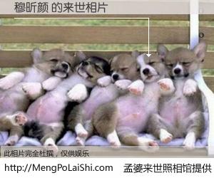 #孟婆来世照相馆# 【穆昕颜 来世的未来相片】一碗梦婆汤，忘却了今生爱与痛，了无牵挂进入轮回。再相遇，已是天涯陌路人。可否借我一双慧眼，看清今生与来世？孟婆来世照相馆，触摸你的未来。穆昕颜 来世的未来相片，有图有真相：